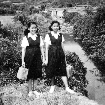 Under The Trees: People and Stories from Village Schools