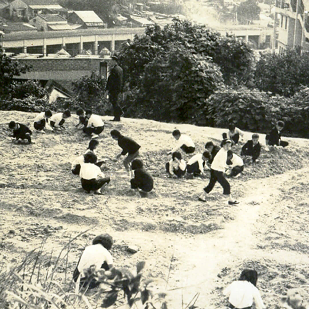 林蔭下的學校——香港村校的歷史